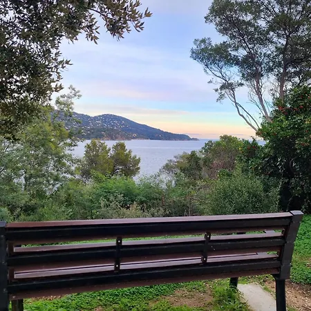 La Pinede - Small 2 Bedroom Sea View - With Swimming Pool Le Lavandou